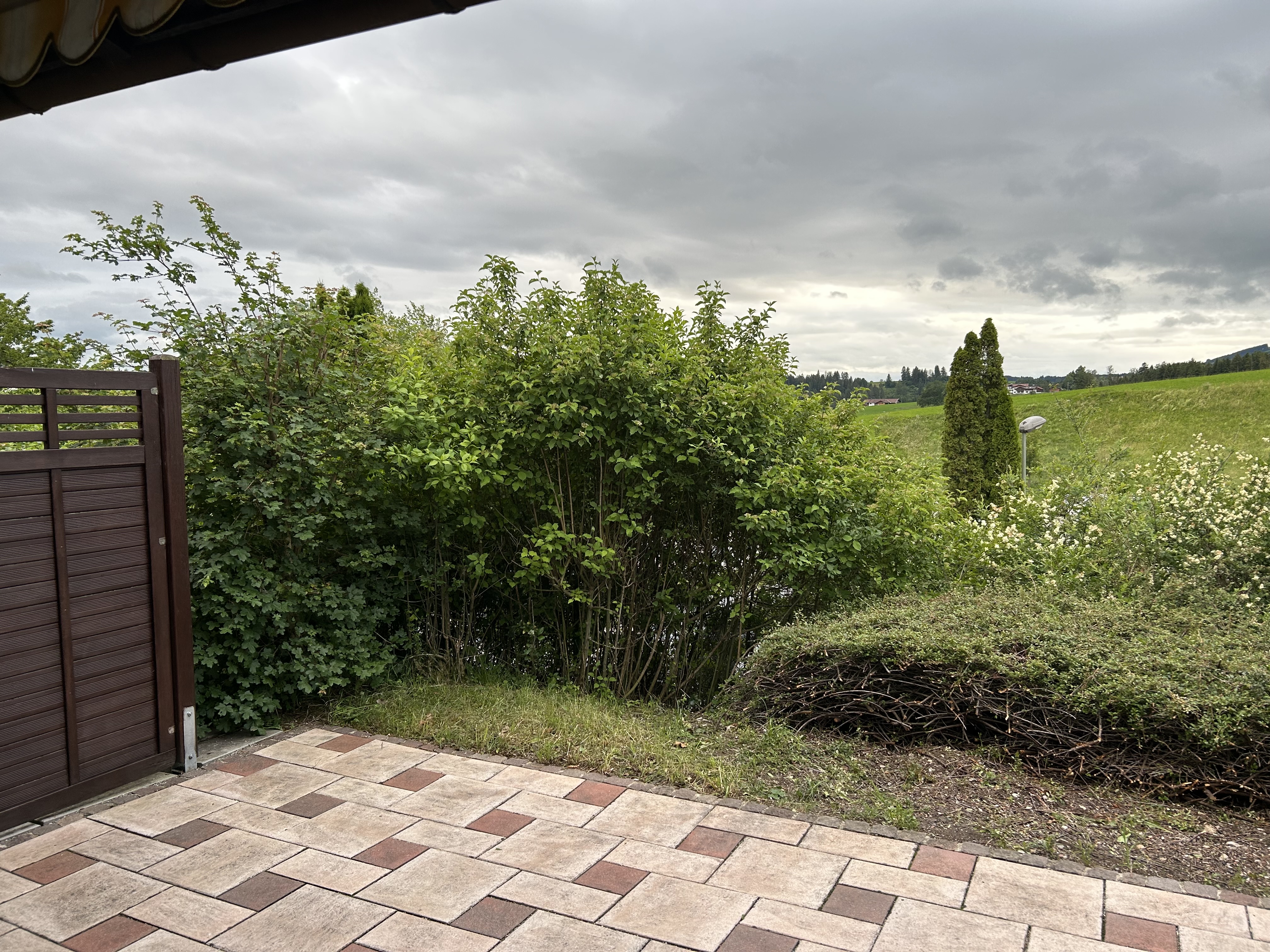 Galeriebild 1