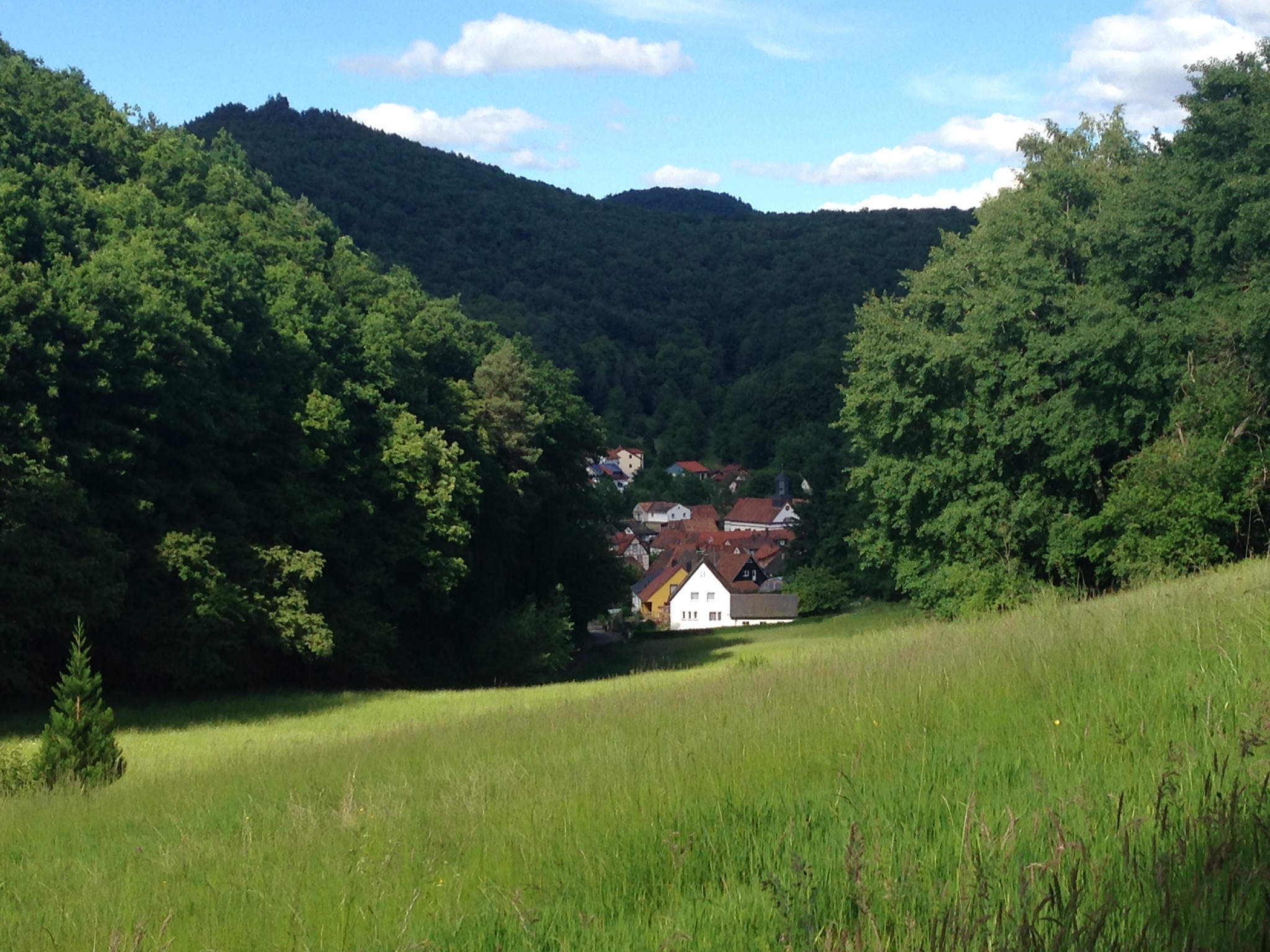 Bildbeschreibung